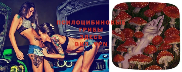 мяу мяу мука Нефтегорск
